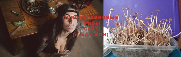 прущий лед Каменногорск
