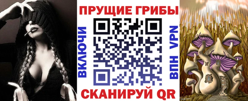 Галлюциногенные грибы прущие грибы  Купить где  Буинск 
